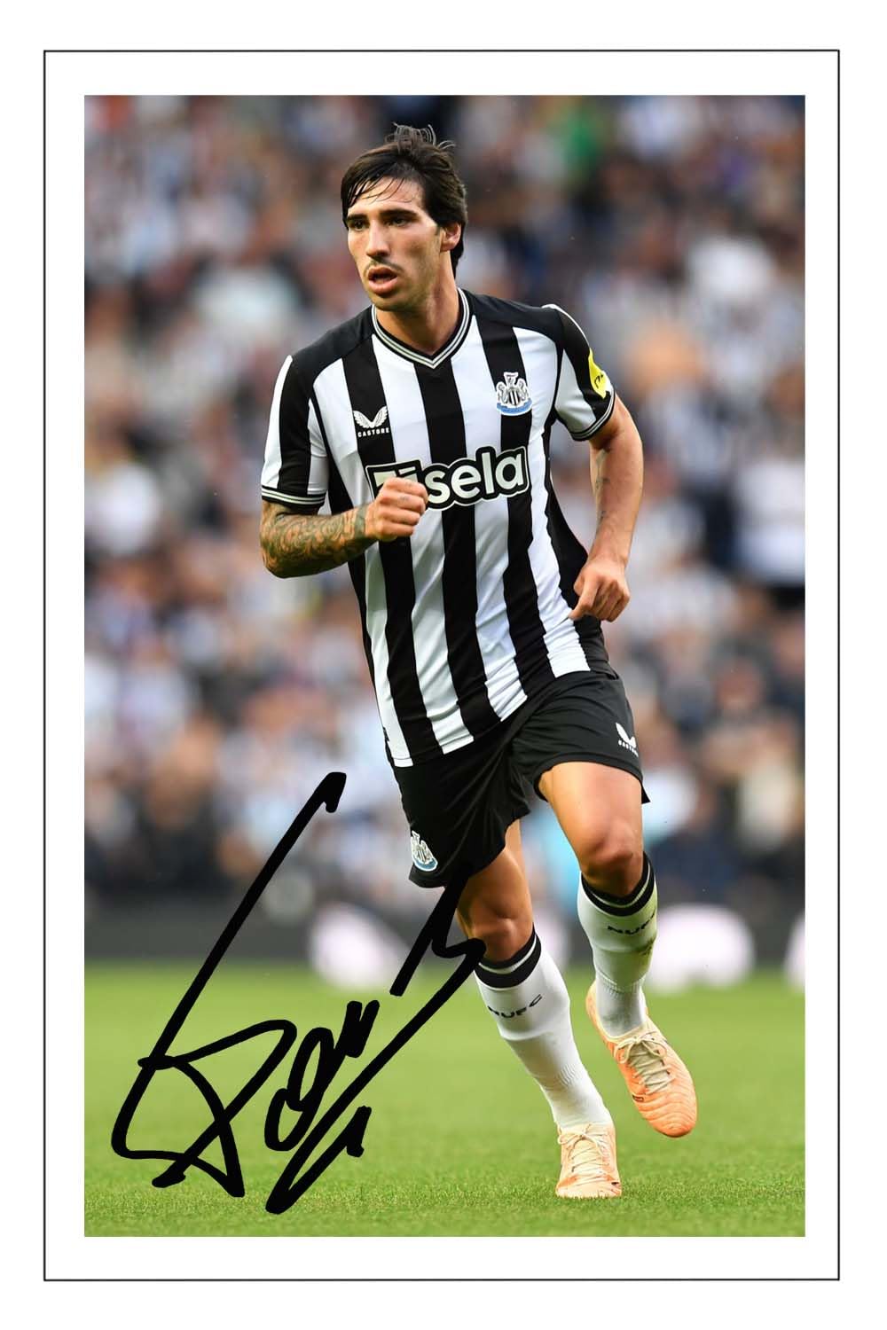 RJR PRINTS Sandro Tonali - Newcastle United Signed 12x8 Inch Montage Photo Print Pre Printed Signature Autograph Football Gift