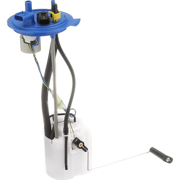 Amazon.com: Delphi FG1987 Fuel Module, 1 Pack : Automotive 