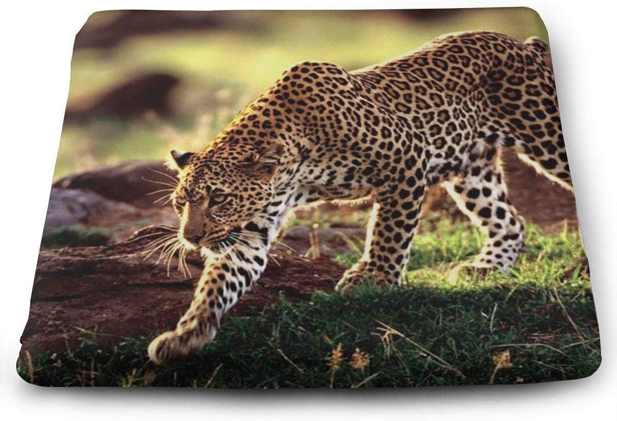 11 Mejores Sillas Oficinas Ergonómicas Leopardos | (2020)