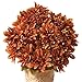 Chrysanthemum Artificial Maintenance-Free Flower Bush - Set of 3, Rust