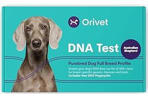 ORIVET Australian Shepherd Full Breed Profile Dog DNA Test Kit Comprehensive Health and Trait Screen