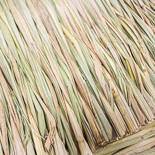 5 Pack Grass Mat Woven Bed Mat, Small Animal Natural Straw Bedding Nest Mat Chew Toys Bed Play Toy for Guinea Pig Parrot Rabbit Bunny Hamster Rat (3 Large 2 Small)