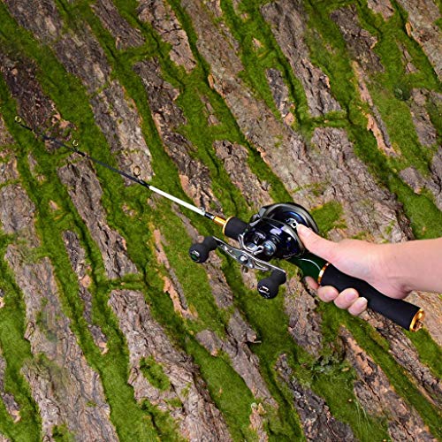 Carbon Fiber Fishing Rod Travel Spinning Lure Rod Sea Saltwater Pole (C)