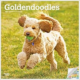 goldendoodle supplies
