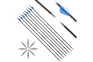 6/12pc Custom Length Carbon Arrows Spine 300 350 400 500 600 700 800 Removable Tips 2" Vane Plastic Fletching Targeting Hunti