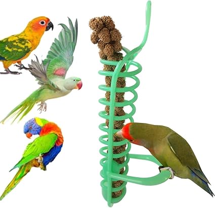 Amazon Com Heaven2017 Bird Spiral Feeder Parrot Food Fruit