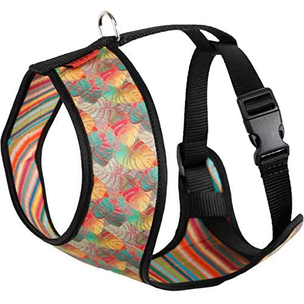 Harp Harness Acc Plus