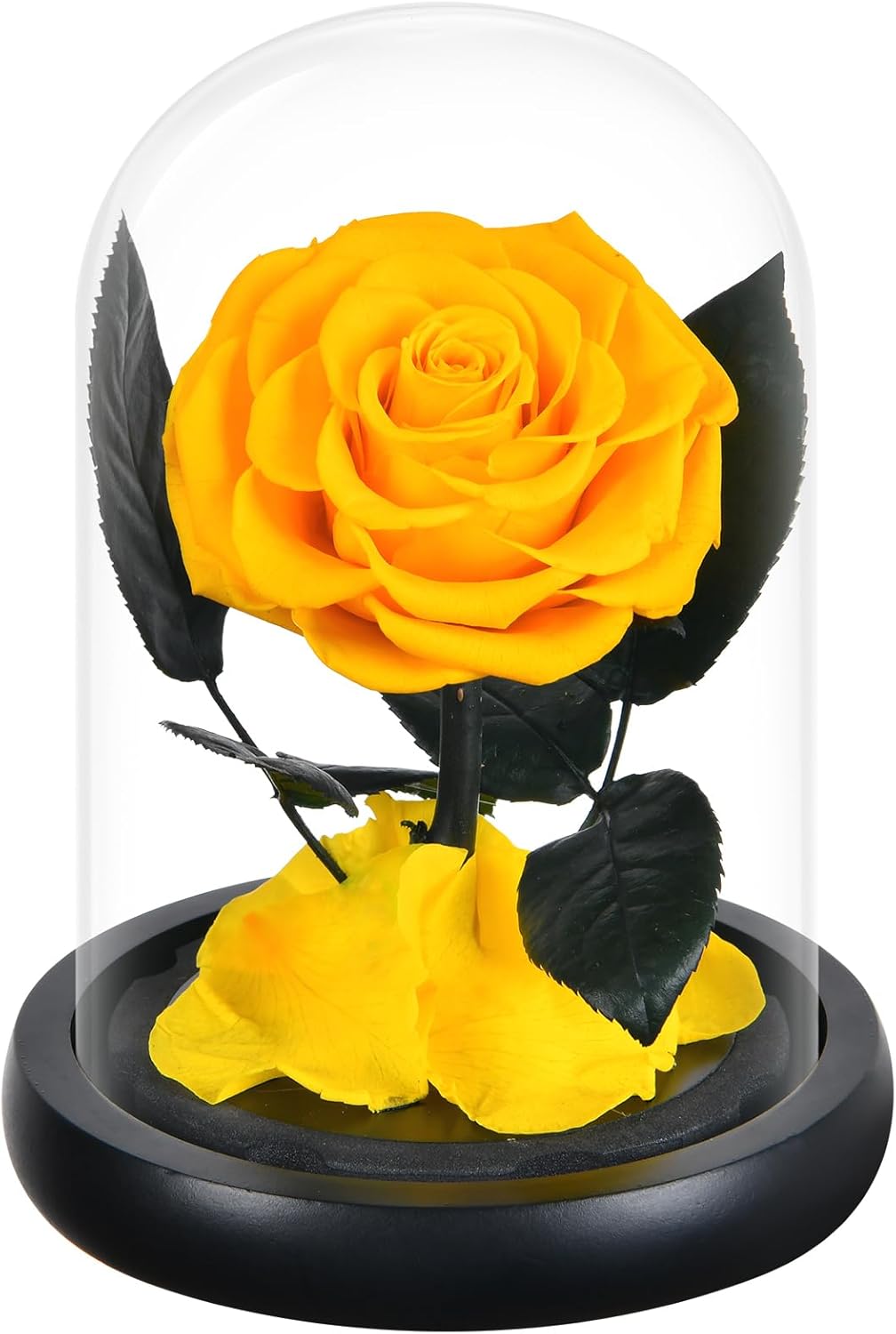 Dried & Preserved Flora - DEARCCINO Preserved Yellow Rose Gifts for Women|Preserved Flowers in Glass Dome|Forever Preserved Rose Birthday Gifts for Girlfriend|Eternal Rose Gift for Wife|Mom|Valentine's Day|Christmas