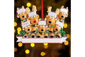 B-QTECH Personalized Christmas Elk Deer Ornament Pendant for Christmas Tree, DIY Custom Family Member Names, Red Gift Box Packaging, Unique Fun Small Cute Decorations Hanging Pendant Decor Xmas Creative Gift