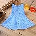 Rorychen Baby Girls' Sleeveless Lace Zipper Dress 24 Months Light Blue
