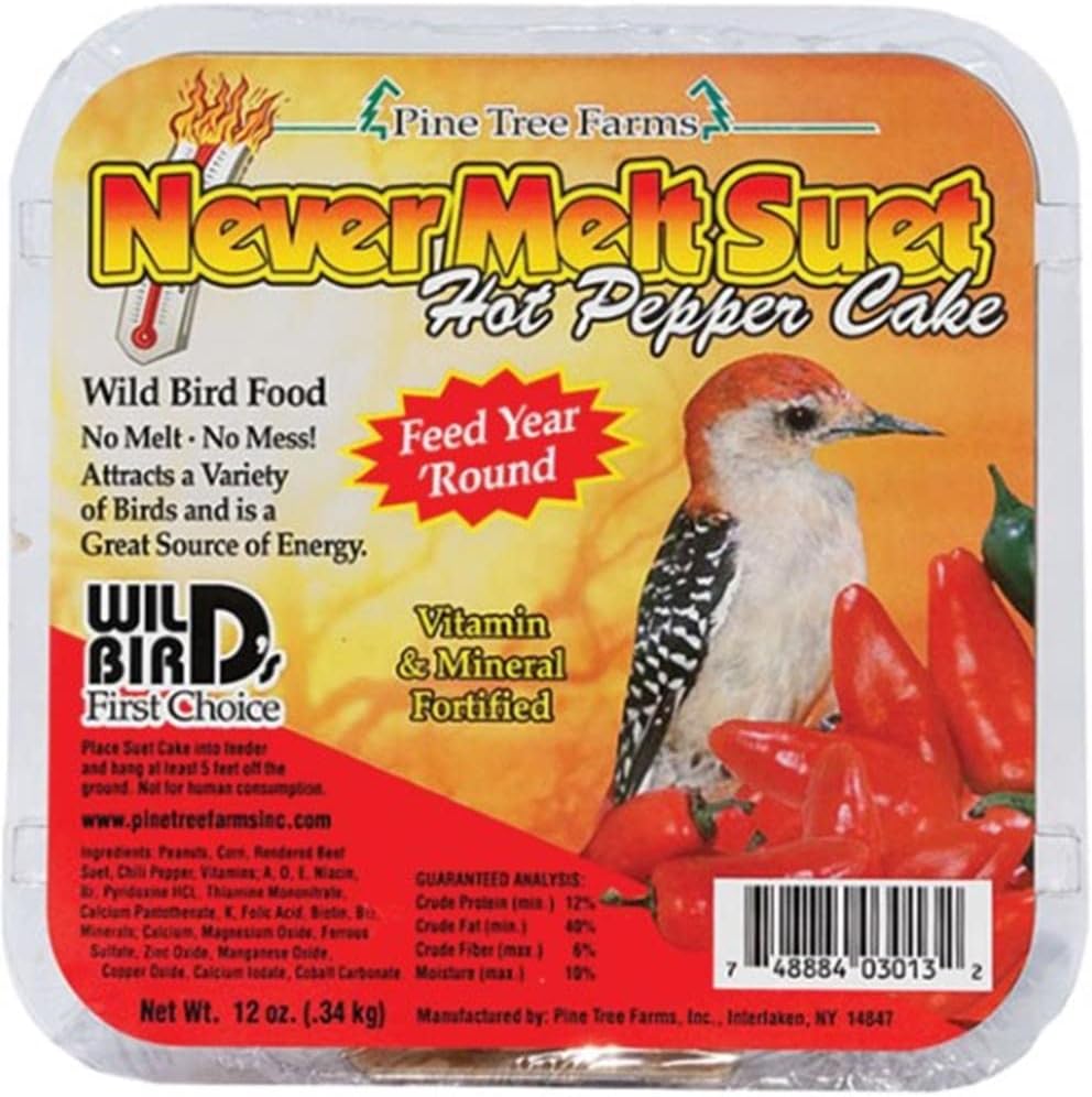 Backyard Birding & Wildlife - Never Melt Suet