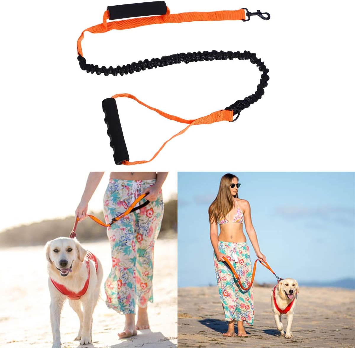 innovative dog leash