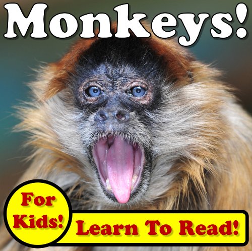 Monkeys! Learning About Monkeys - Monkey Photos And Facts Make It Fun! (Over 45+ Pictures of Different Monkeys)