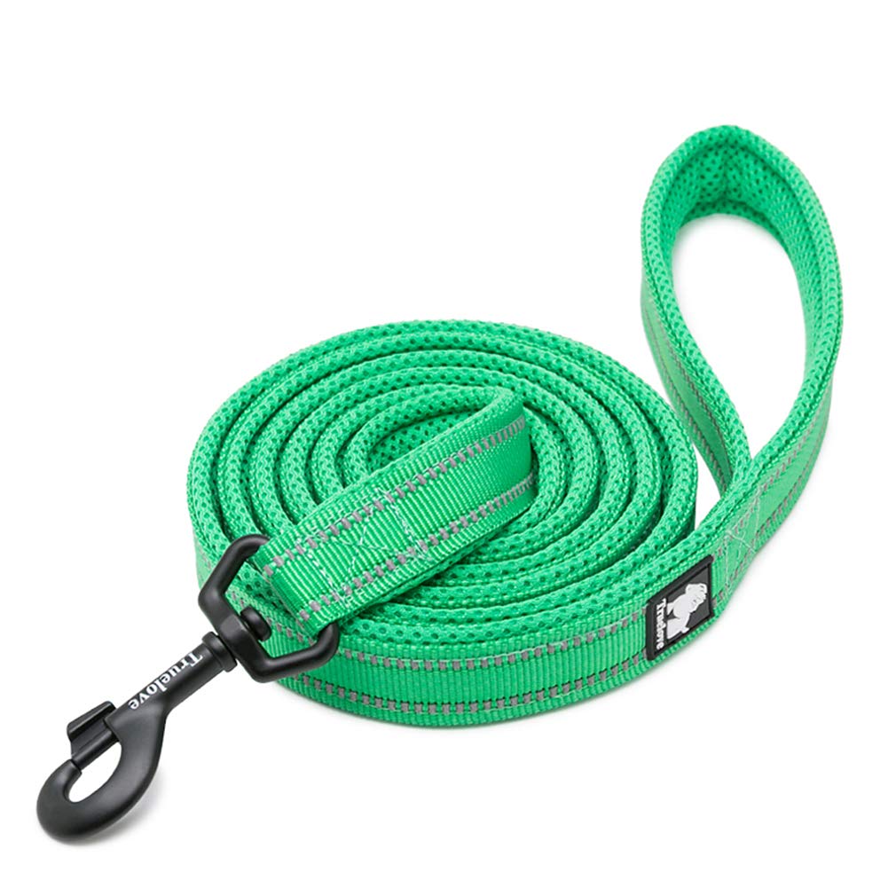 WINHYEPET True Love Dog Leash Nylon Reflective Comfortable Handle Lead Puppy Training Walking Rope Easy Control Suitable Small Medium Large Breeds 110cm Length TLL2111(Grass Green,S) — image 1