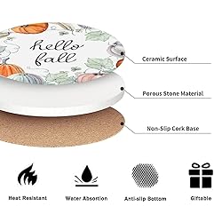 Fall Drink Absorbent Coasters with Holder Set of