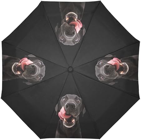 dog umbrella for sun