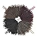 Leeons 3 Packs 8 Inch Fluffy Twist Hair Spring Twist Hair Braiding Ombre Colors Bomb Twist Hair Passion Twist Hair Ombre Crochet Braids Synthetic Braiding Hair Extensions (#1B-Black)