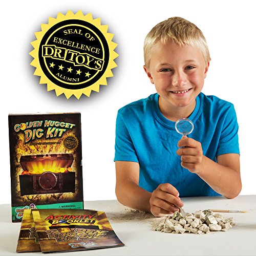 Discover with Dr. Cool Golden Nugget Dig Kit - Excavate Real Specimens!