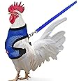 Arbootjin Chicken Harness (Medium, Blue) with Leash, Breathable, Adjustable, Comfortable for Chickens, Ducks, Geese, and Smal