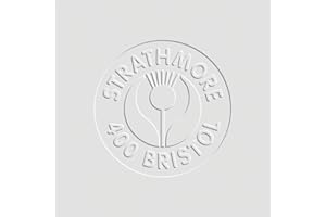 Strathmore 400 Series Vellum Surface Bristol Sheet, 22 x 30 Inches, Pack of 25