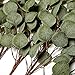 VGIA 6Pcs Artificial Silver Dollar Eucalyptus Leaf Spray in Green Tall Artificial Greenery Holiday Greens Christmas Greenery