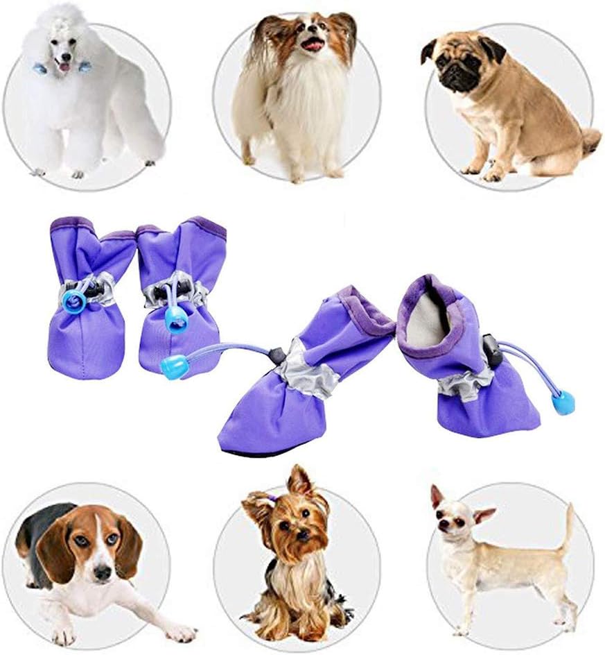 vibrant fellow dog boots