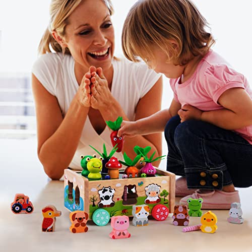 Montessori Wooden Toddler Toys for 1 2 3 Years Old Boys Girls, Shape Sorting Toys First Birthday Gifts for 1-2 Years, Wood Animal Farm Car Preschool Educational Fine Motor Skills Toy