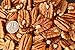 Certified Organic Fresh Shelled Texas Papershell Pecan Halves, 12 Oz. Family Orchard grown