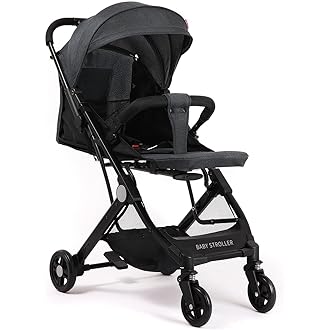 2019 new strollers