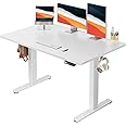 HUANUO Electric Standing Desk, 48" x 30" Whole Piece Desktop, Adjustable Height Computer Desk, 4 Height Memory Settings, Sit Stand Up Desk for Home Office, White