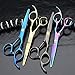 Passion Stainless Steel Professional Hair Cutting Scissors Precision 2-piece Barber Shears Thinning Set 6.0inch