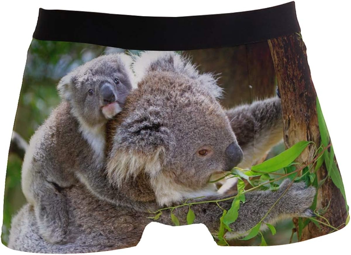 Koala Animal Australian Grey Furs Mens Boxer Briefs for Boy Youth Men