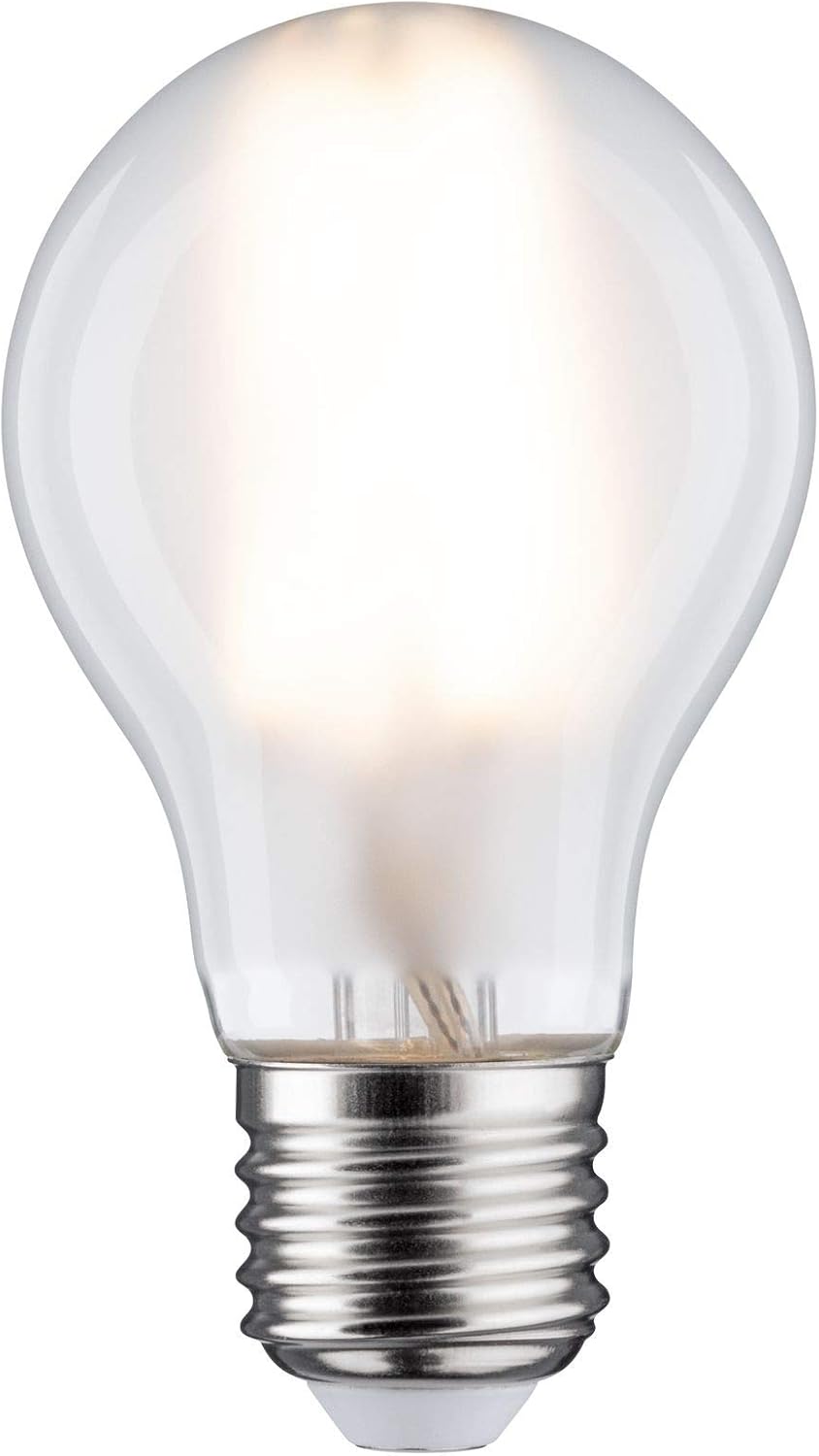 Paulmann 28622 LED lamp Filament GL 9 watts Classic lamp dimmable matt 2700 K Warm White E27