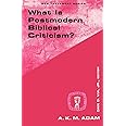 What Is Postmodern Biblical Criticism? (Guides to Biblical Scholarship New Testament)