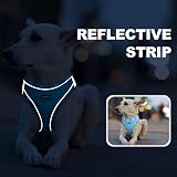 haapaw Dog Harness and Lead Set No Pull Reflective Step-in Adjustable Harness view 5