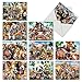 The Best Card Company - 10 Blank Animal Cards Box Set (4 x 5.12 Inch) - Bulk Assorted Pets, Horses, Wildlife Cards for Kids, Camp - Here's Looking at Zoo M6639OCB
