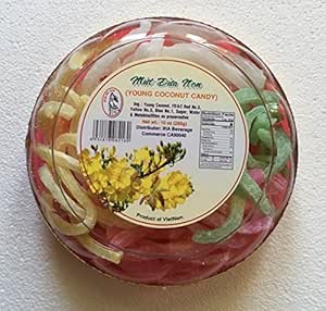 Amazon.com : Chinese New Year Candies - YOUNG COCONUT ...