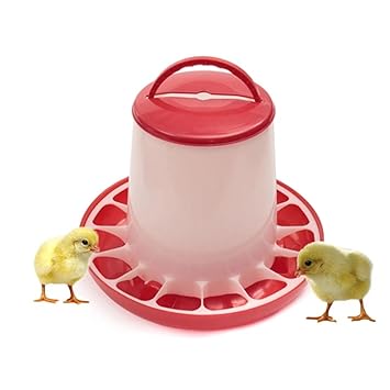 Avimax Bird Feeder 3kg Multicolored Plastic Amazon In Garden