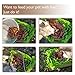 AISITIN Dog Snuffle Mat Feeding Mat,Dog Smell Training Mat Stress Release Nosework Blanket, Durable and Machine Washable Dogs Puzzle Toys, Encourages Natural Foraging Skills