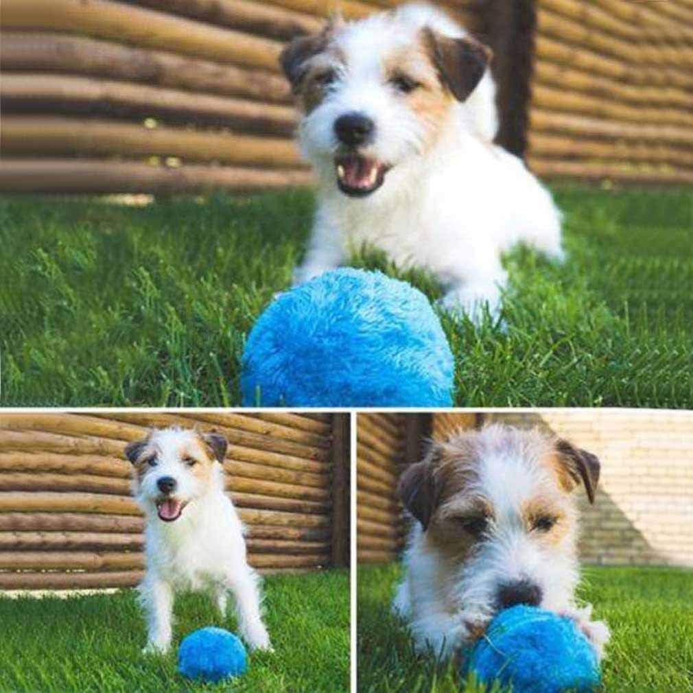 magic roller ball toy for dogs