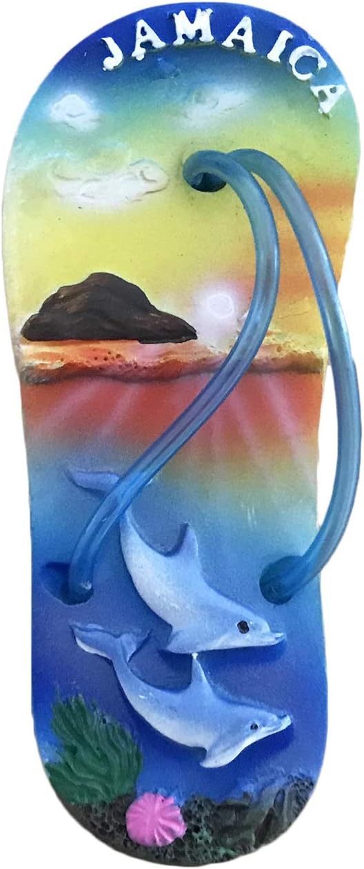 Best Fridge Mini Refrigerator Dolphins