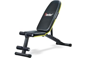 Teclor Adjustable Weight Bench, Foldable Workout Benches for Home Gym, 10 Backrest Position Exercise Bench for Strength Training, Upgraded Thickened Steel Support Max Capacity 700LBs