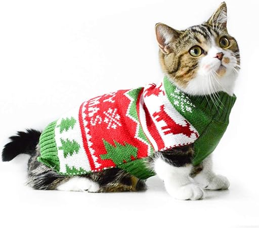 christmas dog hoodie