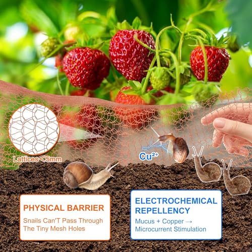 WUFANC 2 Volumes Copper Netting, 12.7cm x (10M+6M), Anti Snail Netting for Vegetable Garden, Raised Bedspread, Double Layer Mesh Copper Mesh Snails to Cut, Suitable for Garden, Balcony