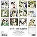 Just Shih Tzu Puppies 2018 Wall Calendar (Dog Breed Calendar)