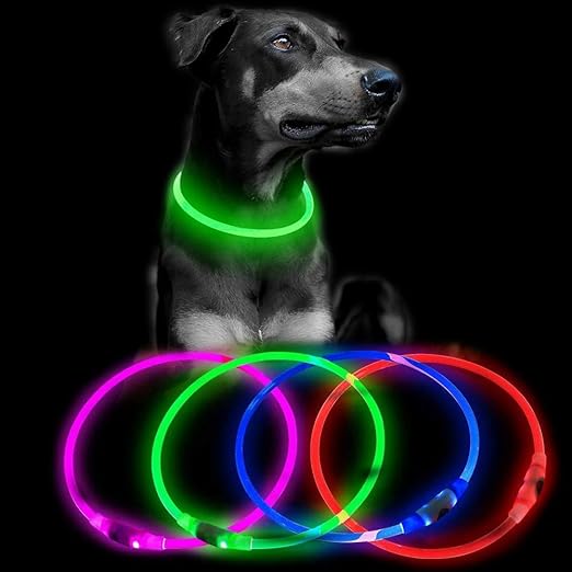 dog collar light rechargeable