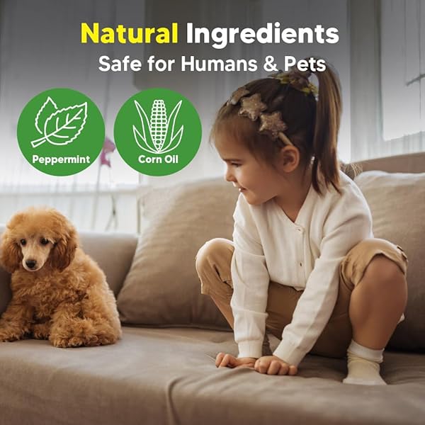 RODENT REPELLENT, MOUSE REPELLENTS OUTDOOR, NATURAL MICE REPELLENT INDOOR,PEPPERMINT OIL TO REPEL MICE AND RATS, KEEP MICE AWAY, RAT REPELLENT FOR HOUSE,RAT DETERRENT INDOOR,GET RID OF MICE-8P