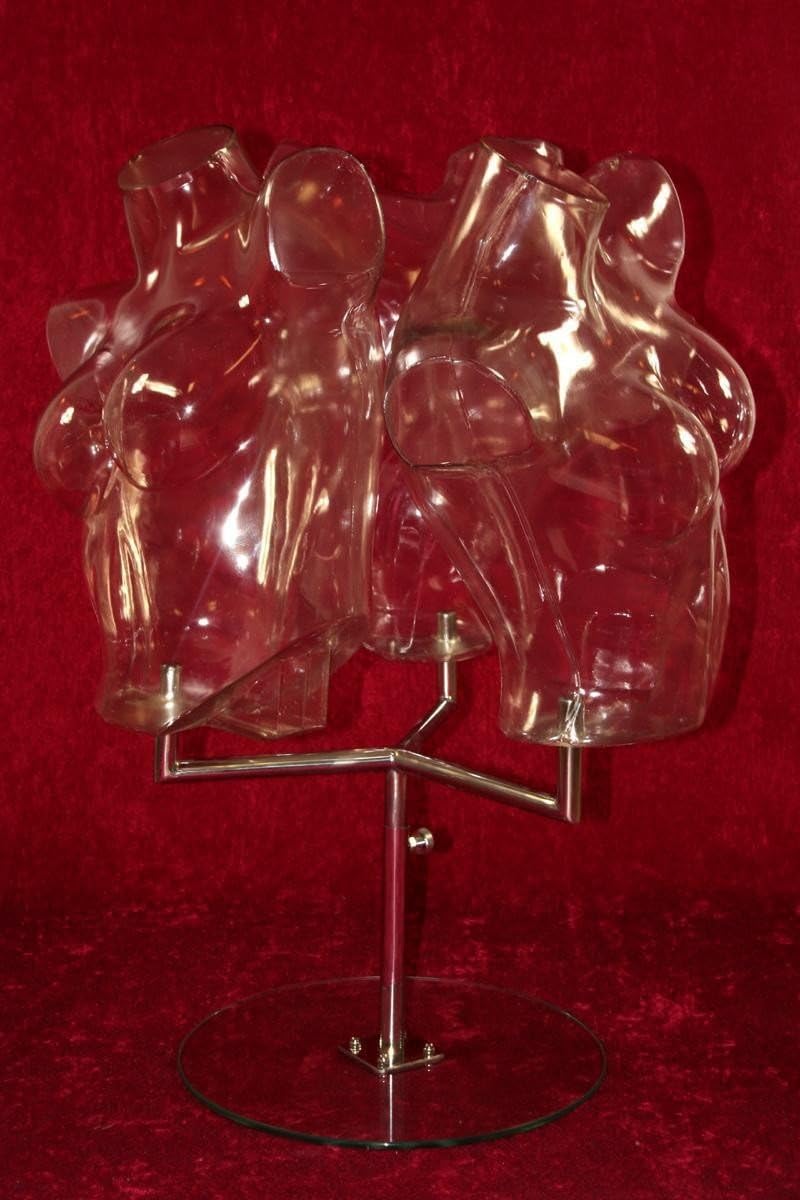 Mannequin 3x torse feminin Transparent
