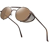 ANDOILT Steampunk Style Round Sunglasses for Men Women Vintage Retro Eyewear Matel Frame UV400 Protection Brown frame Brown lens