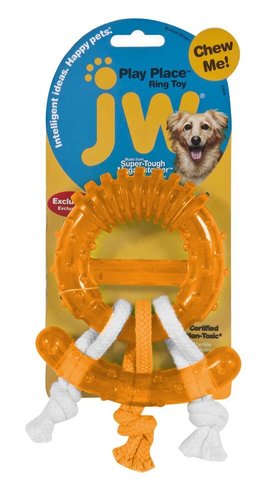JW Play Place Ring Toy